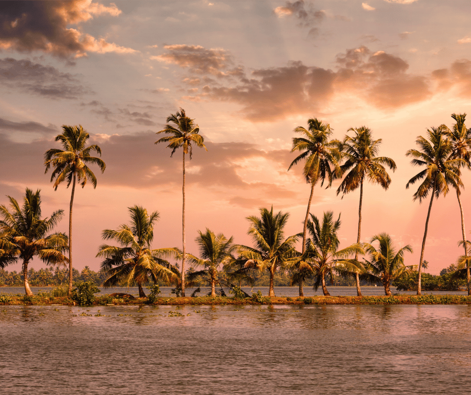 Alleppey Backwaters